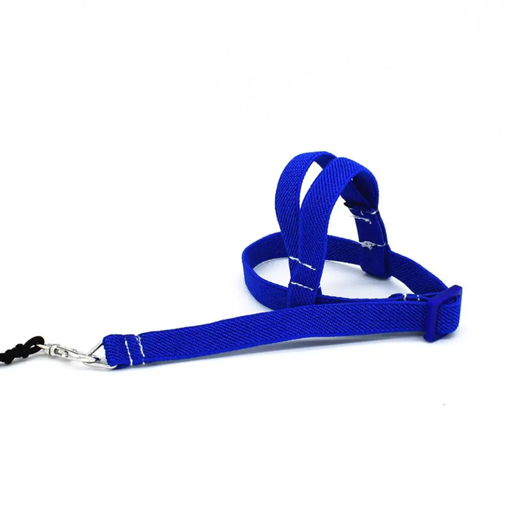 Pet Parrot Bird Harness And Leash Flying Rope Straps Outdoor Training Traction Rope For Budgerigar Cockatiel Supplies