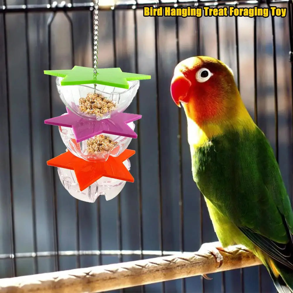 Bird Bite Toys Parrot Hanging Treat Foraging Toy Feeder Acrylic Hexagonal Star Multi-Layer Bird Food Box Birdcage Accessories
