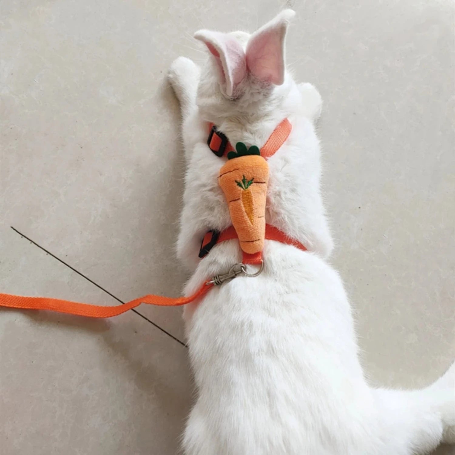 Harness and Leash Rabbit Harnesses Cute Costume 2 Sizes  Walking Small Ferret Chinchilla Hamster Drop Shipping