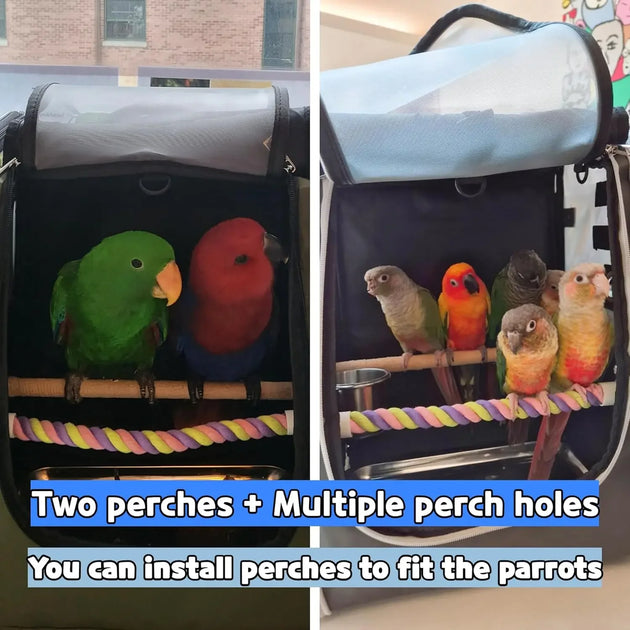 Carrier Backpack-Parrot Travel Cage with 2PCS Perch and Food Bowl, Stainless Steel Tray (Charcoal Gray, Small to Medium