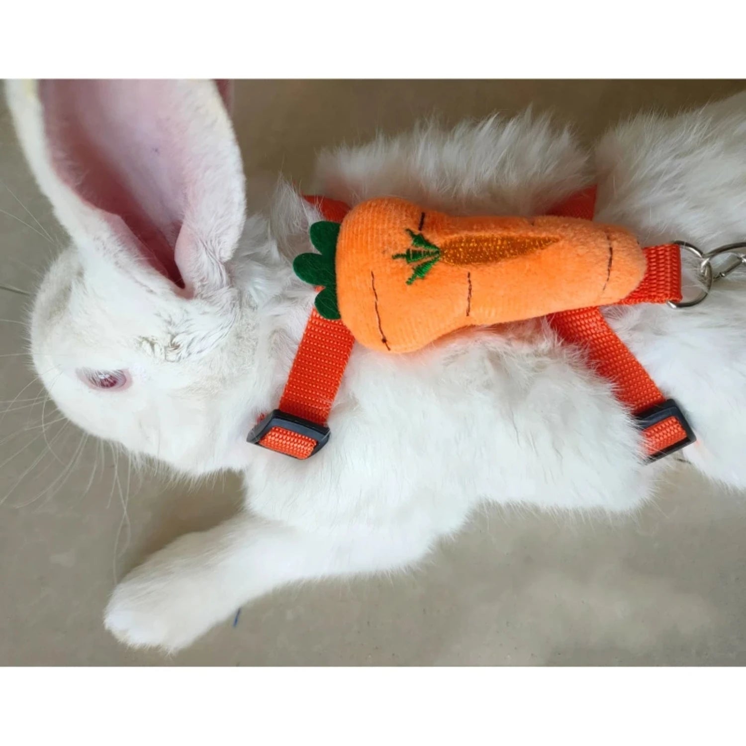 Harness and Leash Rabbit Harnesses Cute Costume 2 Sizes  Walking Small Ferret Chinchilla Hamster Drop Shipping