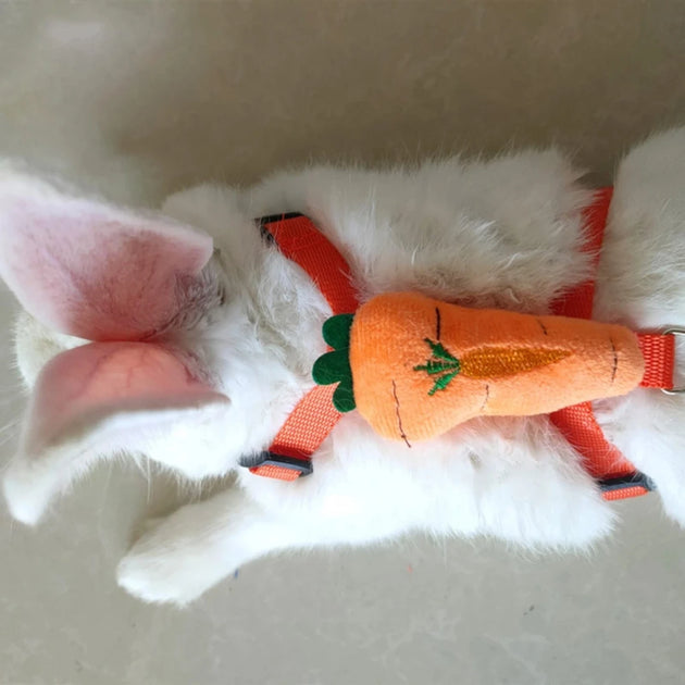 Harness and Leash Rabbit Harnesses Cute Costume 2 Sizes  Walking Small Ferret Chinchilla Hamster Drop Shipping