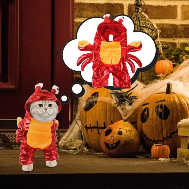 Crab Costume For Dog Dog Cat Halloween Crab Costume Pet Clothes Warm Outfits Clothes Puppy Red Hoodie For Halloween Party